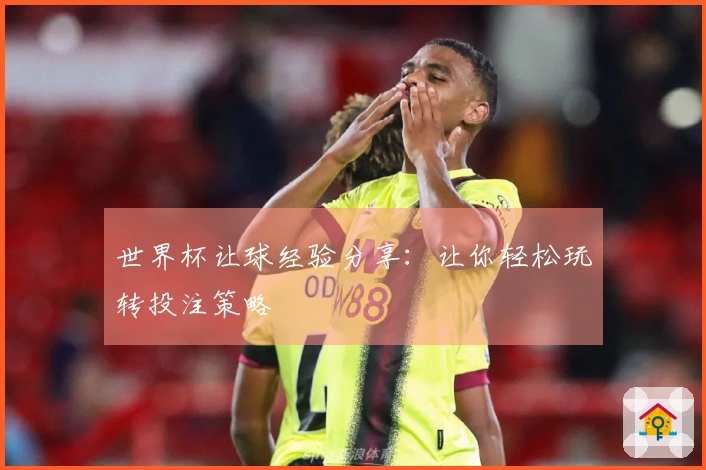 世界杯让球经验分享：让你轻松玩转投注策略