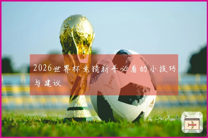 2026世界杯竞猜新手必看的小技巧与建议