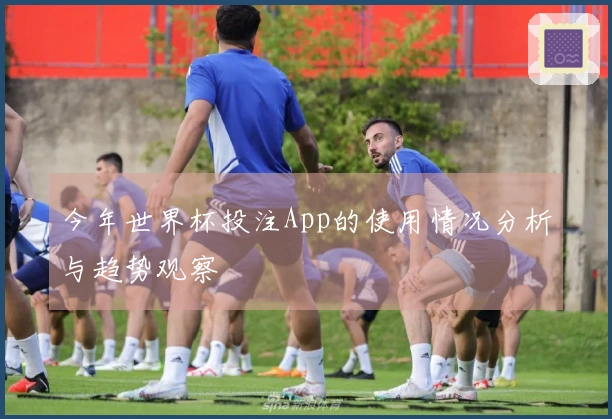 今年世界杯投注App的使用情况分析与趋势观察