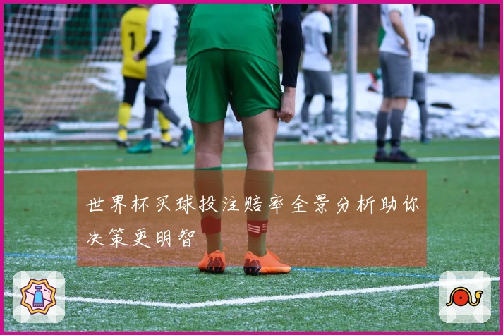 世界杯买球投注赔率全景分析助你决策更明智