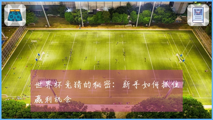 世界杯竞猜的秘密：新手如何抓住赢利机会