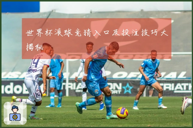 世界杯滚球竞猜入口及投注技巧大揭秘