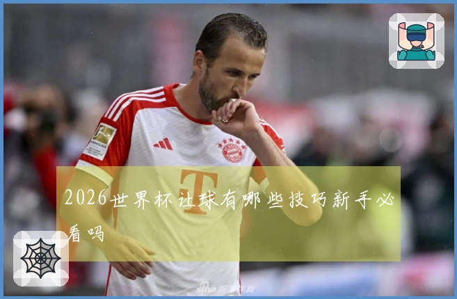 2026世界杯让球有哪些技巧新手必看吗