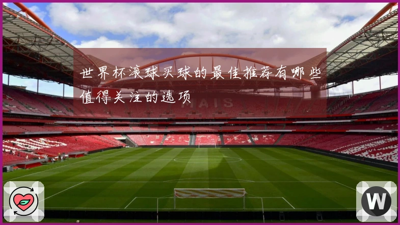世界杯滚球买球的最佳推荐有哪些值得关注的选项