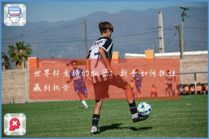 世界杯竞猜的秘密:新手如何抓住赢利机会