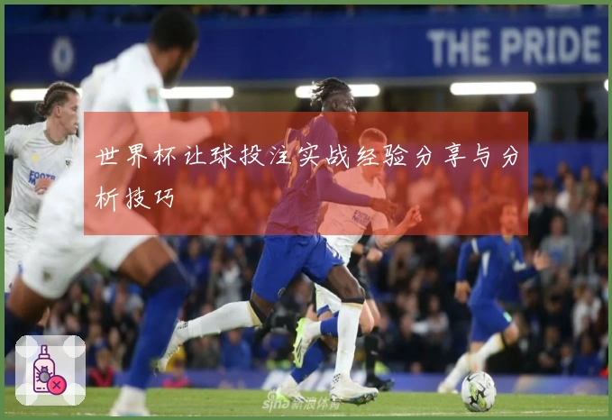 世界杯让球投注实战经验分享与分析技巧