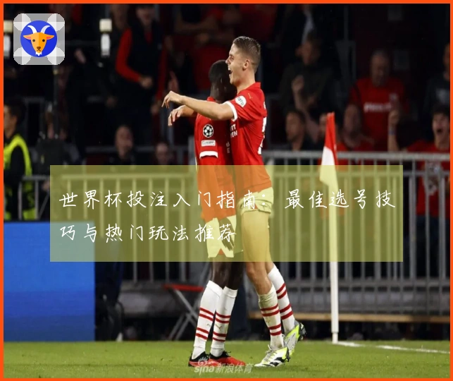 世界杯投注入门指南：最佳选号技巧与热门玩法推荐