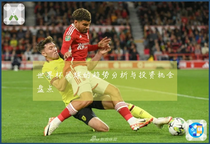 世界杯买球的趋势分析与投资机会盘点