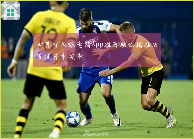 世界杯买球竞猜App推荐助你精准决策提升中奖率