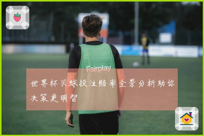 世界杯买球投注赔率全景分析助你决策更明智