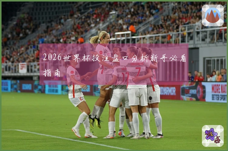 2026世界杯投注盘口分析新手必看指南