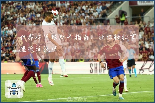 世界杯买球新手指南,让你轻松掌握投注技巧