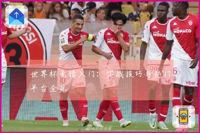 世界杯竞猜入门：实战技巧与热门平台全览